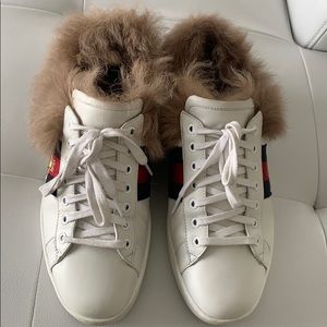 Gucci sneakers